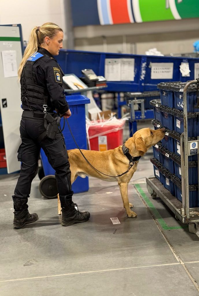 Hunden Ranger