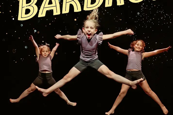 Boktips: Heja Barbro